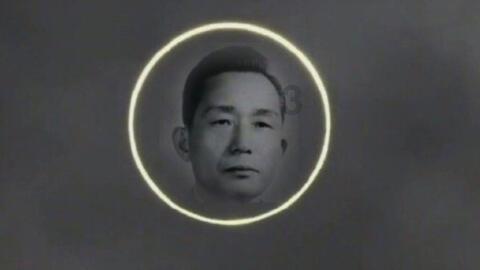 逗小猴开心系列189